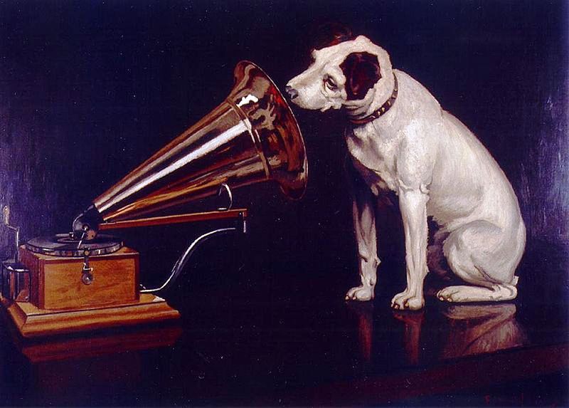 Dog looking into a gramophone