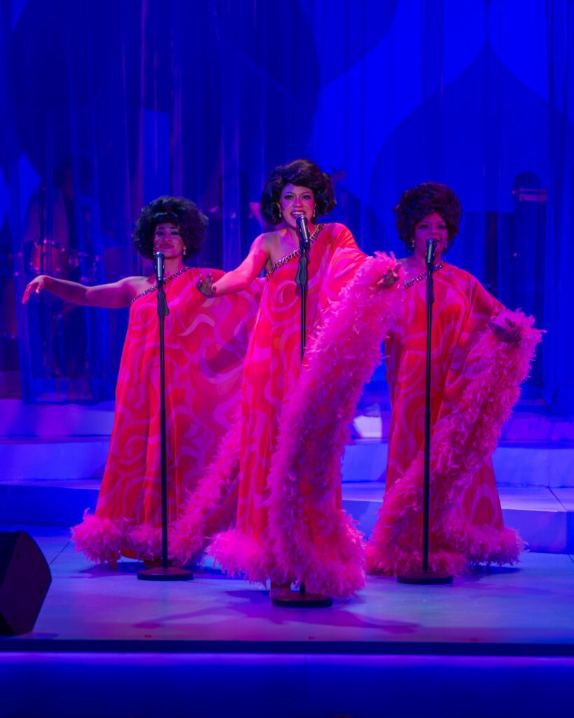 20260210 DSC 4396 20260210 DSC 4396