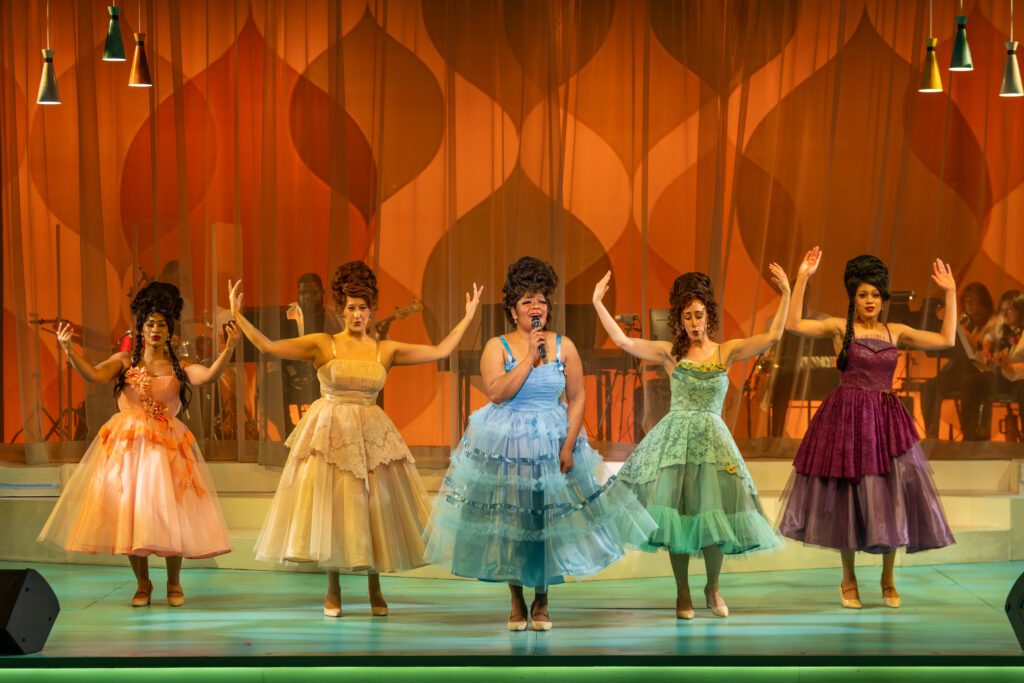 20260210 DSC 4741 20260210 DSC 4741